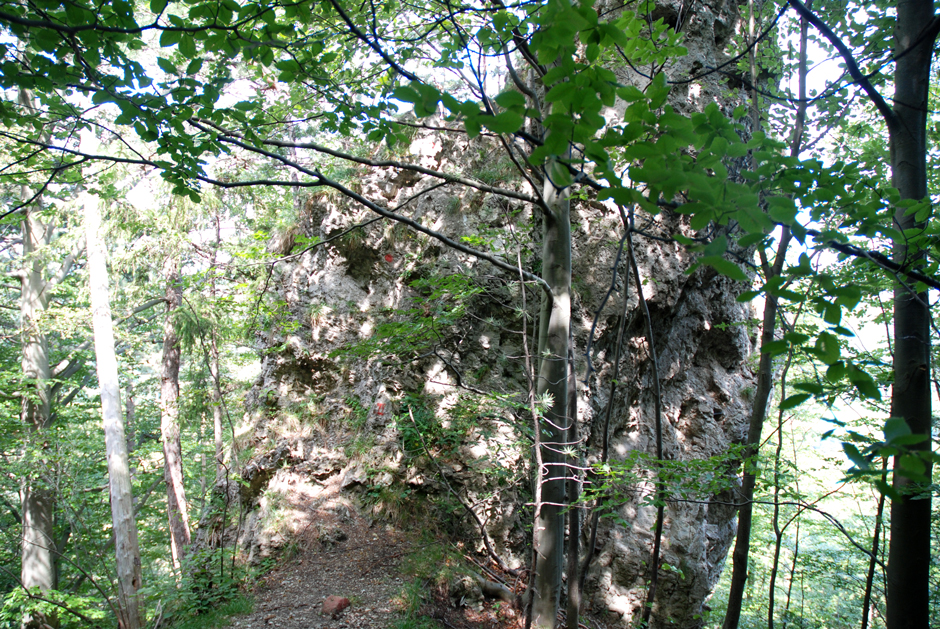 Pittentaler Steig, kurze Kletterübung (II)