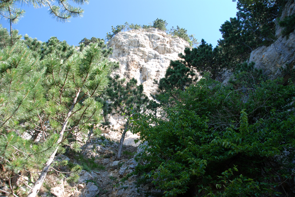 überhängebde Felswand, darunter s‘ Hafner Bank