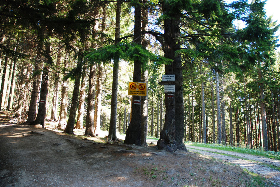 Waldweg zu den Klettersteigen