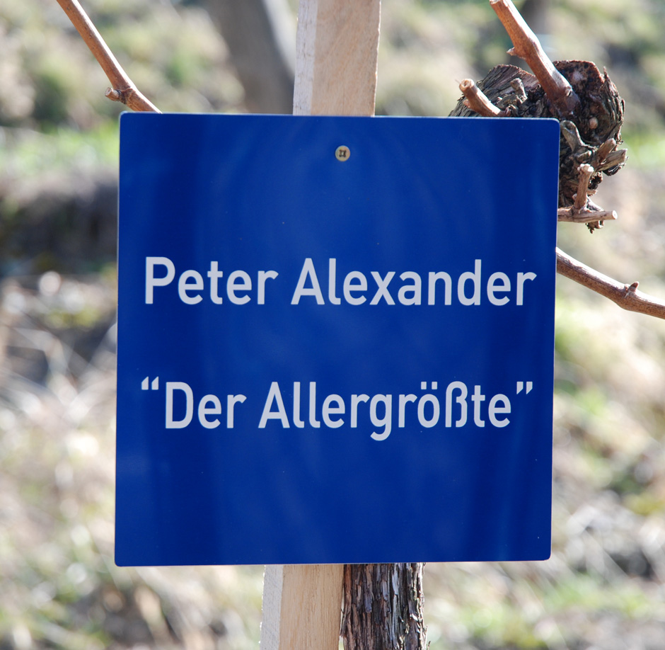 Peter Alexander 