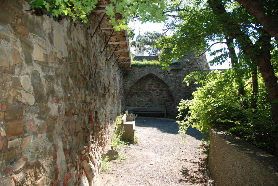 Seitenmauer Leopoldsberg