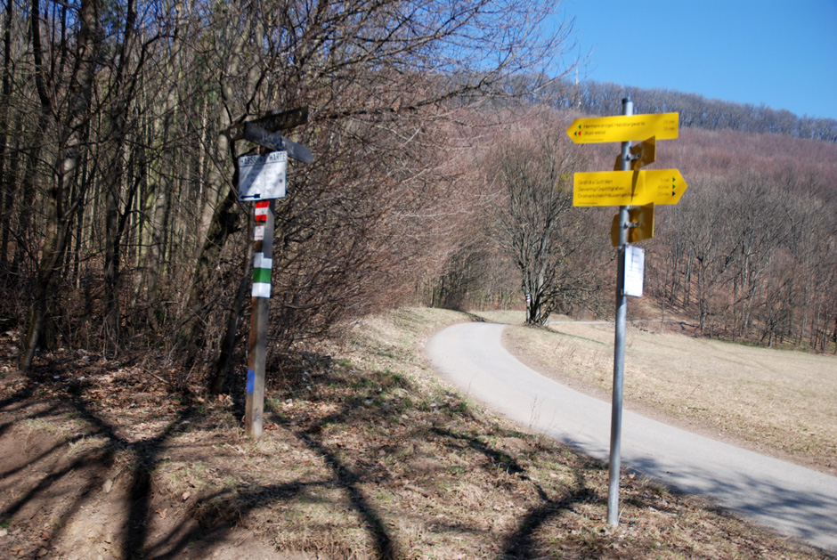 Wegweiser links Hermannskogel, Habsburgwarte 25 min