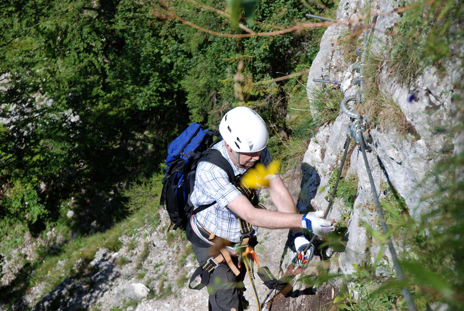 Wechsel Flying Fox (B), Albert