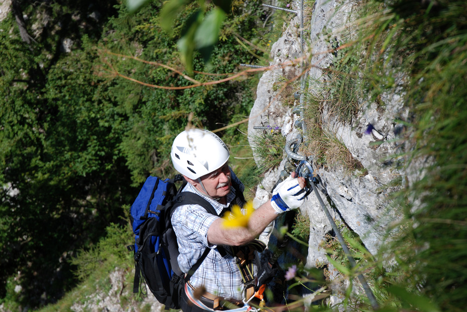 Wechsel Flying Fox (B), Albert