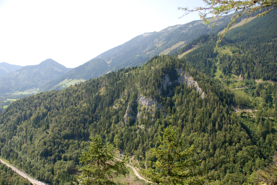 Rundblick