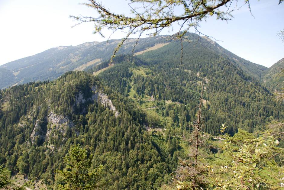 Rundblick