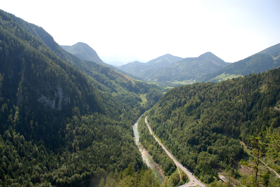 Rundblick