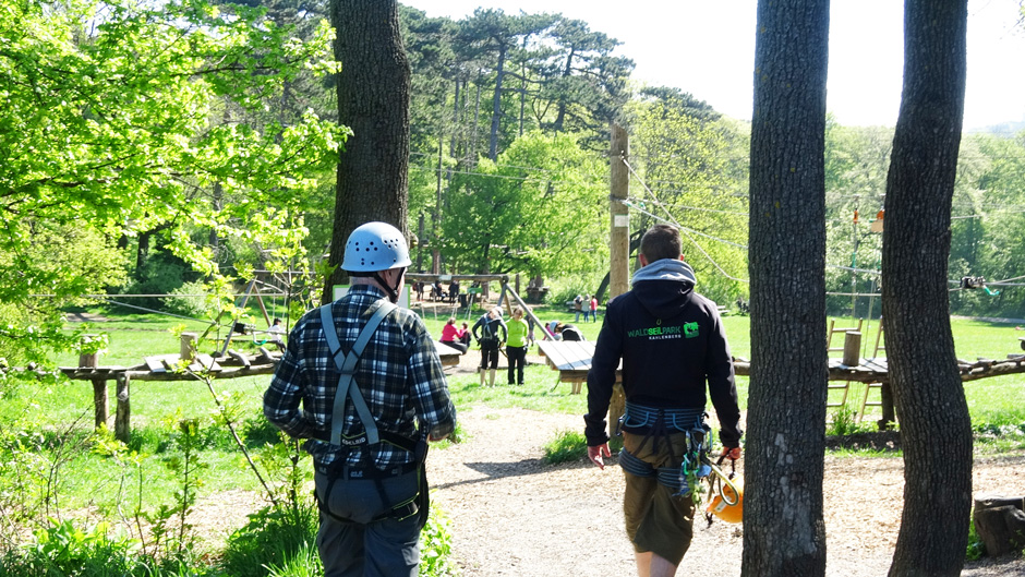 Start, Albert und Patrick