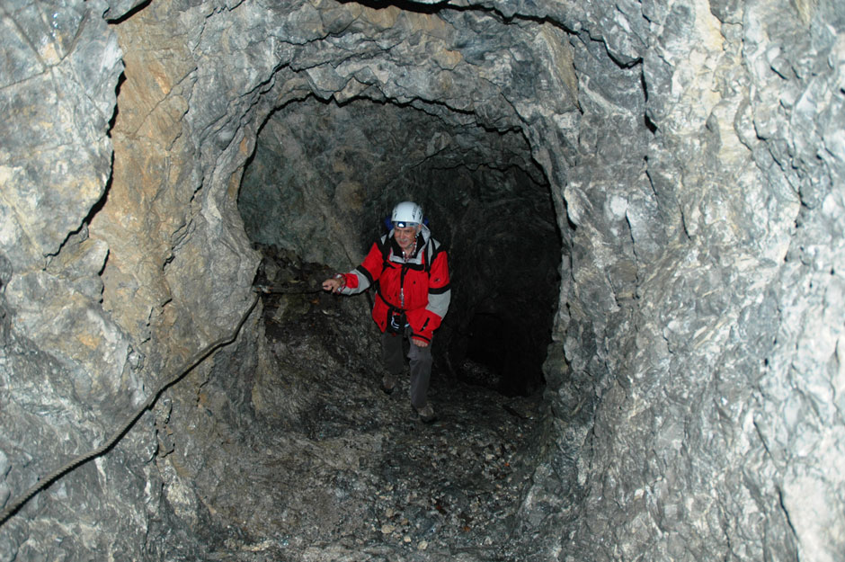 Albert im Stollen