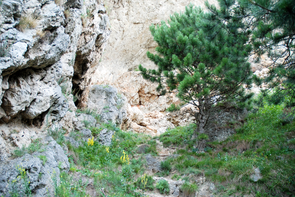 Pittentaler Steig, Blick zur goßen Felsnische