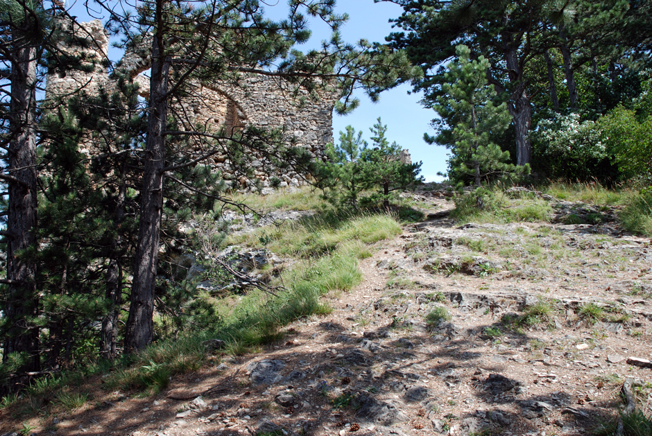 Pittentaler Steig, Weg zur Ruine Türkensturz