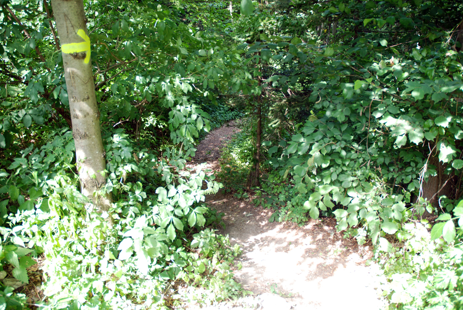 Pittentaler Steig, Abstieg