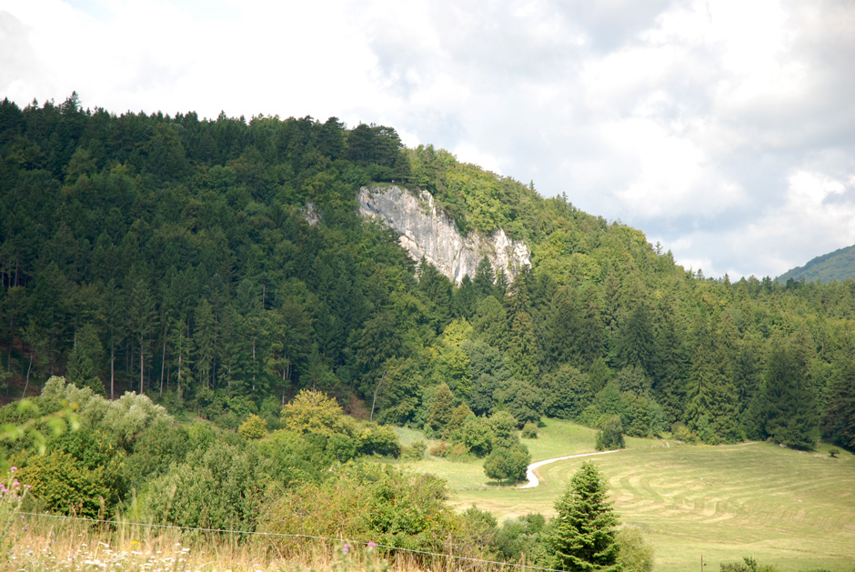 Währingersteig