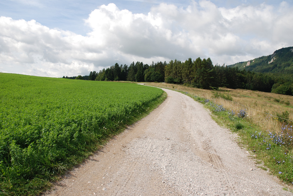 Zustieg Herrgottschnitzerweg