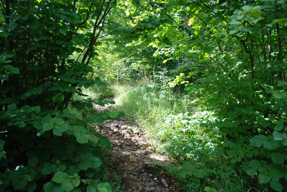 Gehweg zum Herrgottschnitzerhaus