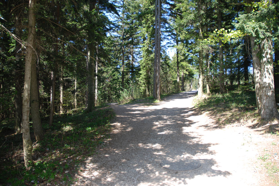 Weg zum Alpengasthaus