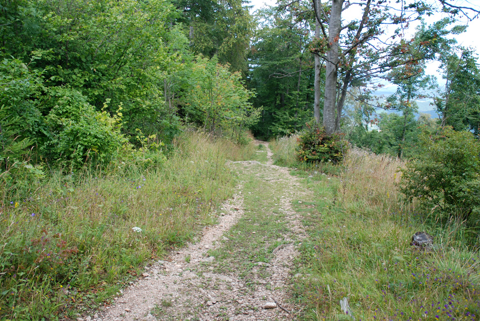 Herrgottschnitzerweg