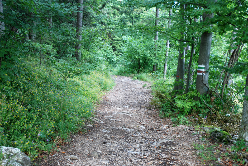 Herrgottschnitzerweg