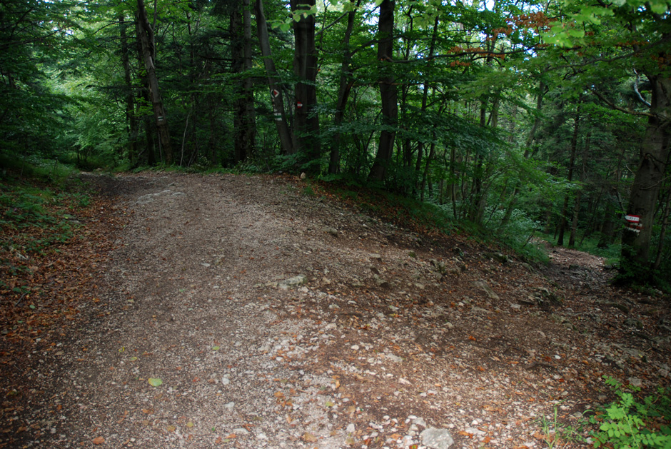 Herrgottschnitzerweg