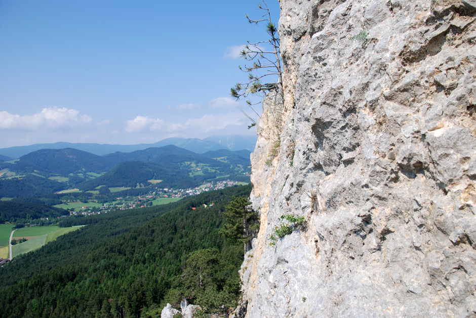 Schneeberg von der Weningerwand (C/D)