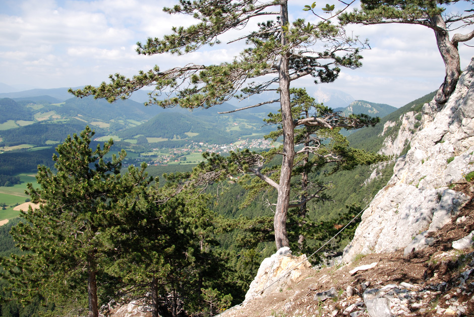 Schneebergblick (B)