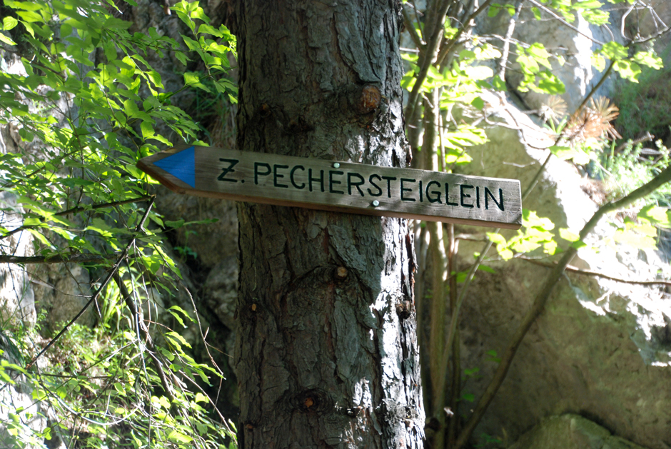 Tafel, Zahmes Pechersteiglein