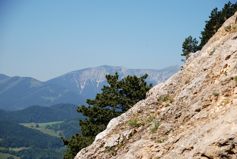 Schneeberg von der s‘ Hafner Bank