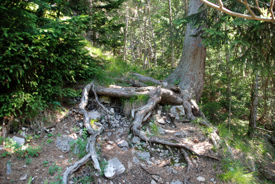 Gehweg, obere Drittel