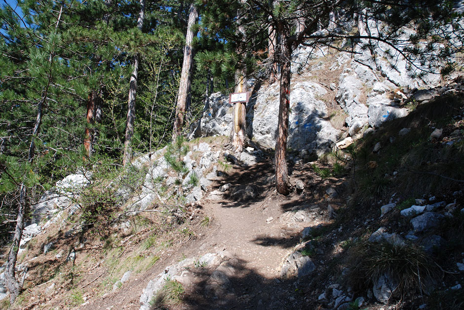 Abzweigung zum Springlessteig