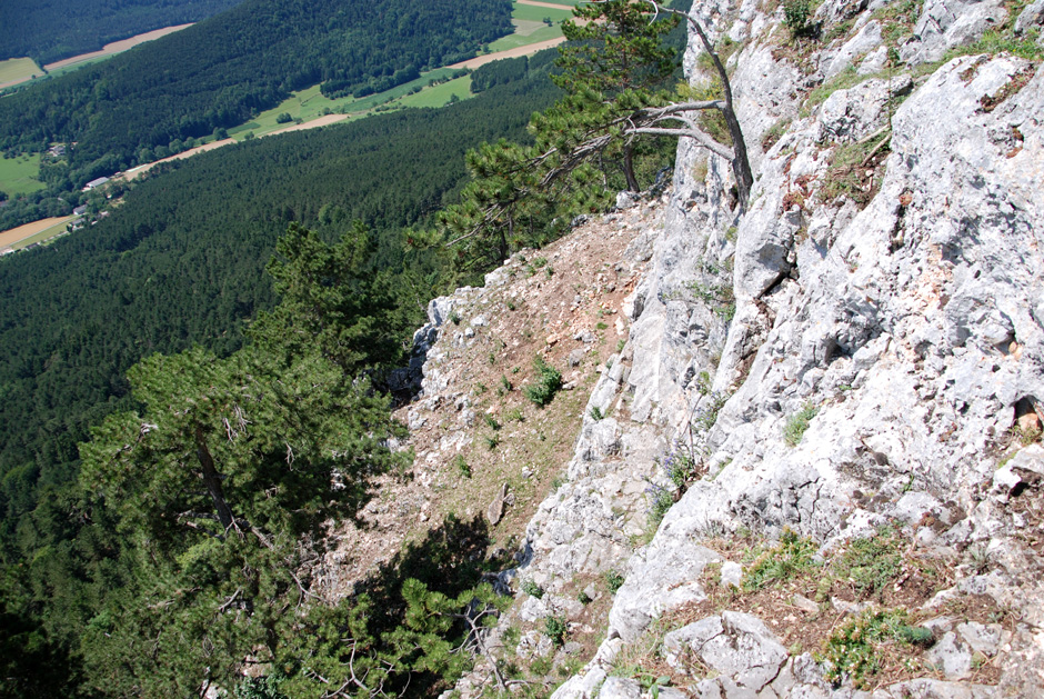 Vorschau (A) bis (B/C)