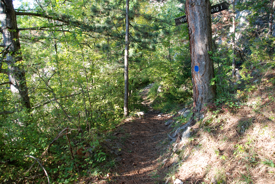 Wandfußsteig