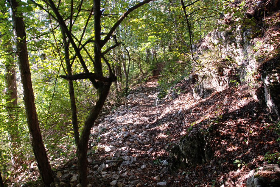 Wandfußsteig