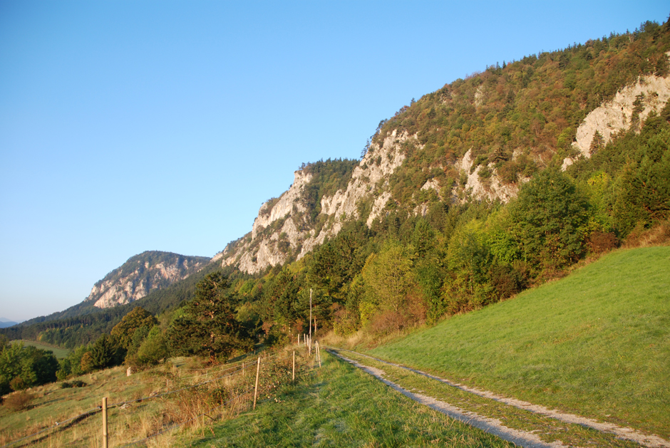 Zustieg mit Tirolersteig