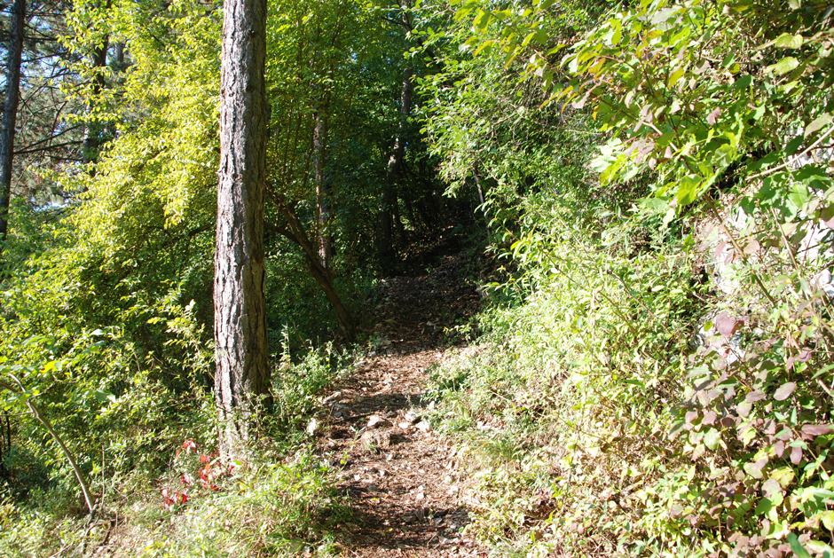 Wandfußsteig