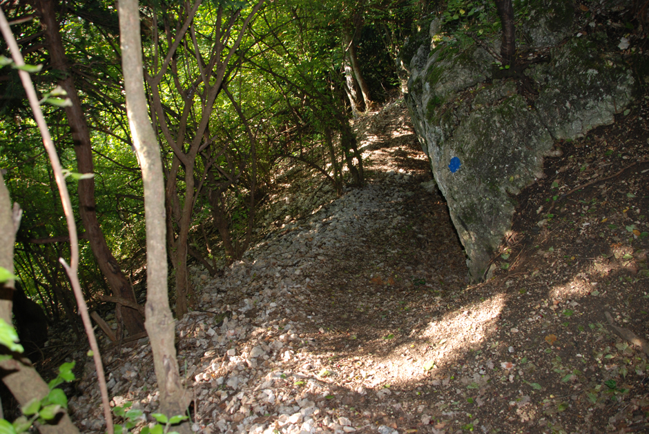 Wandfußsteig