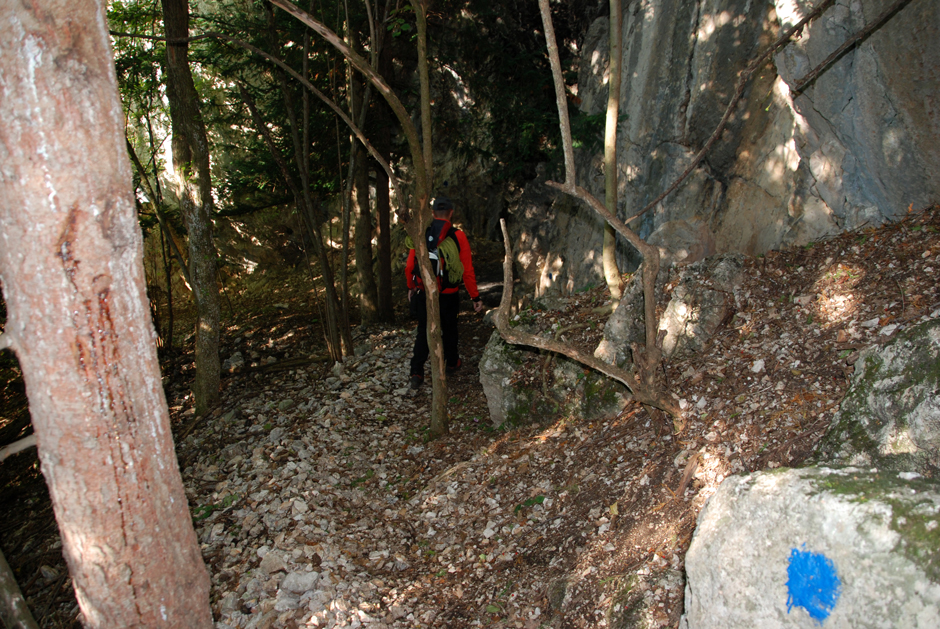 Wandfußsteig