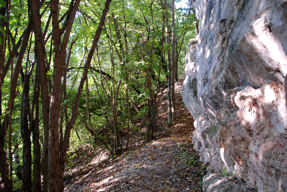 Wandfußsteig