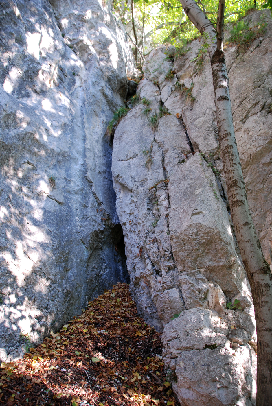 Wandfußsteig