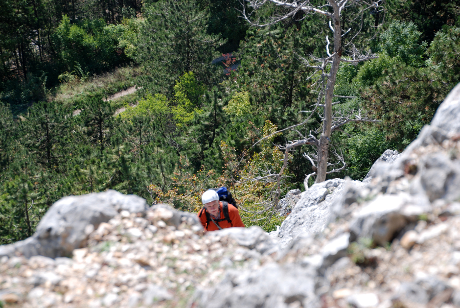 Albert, 5. SL Rinne I