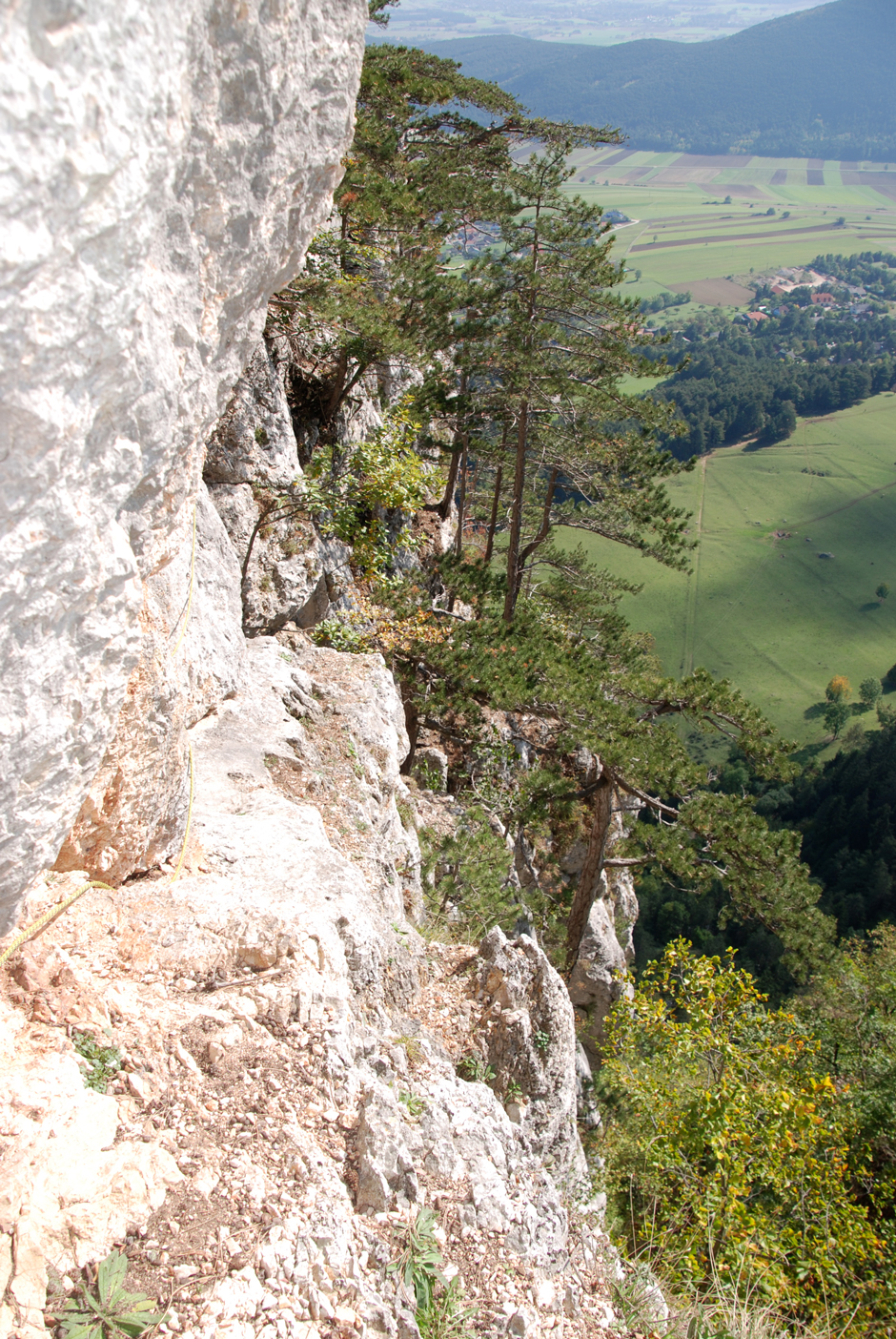 11. SL, Blick von der Wildenauer Riedl Rast