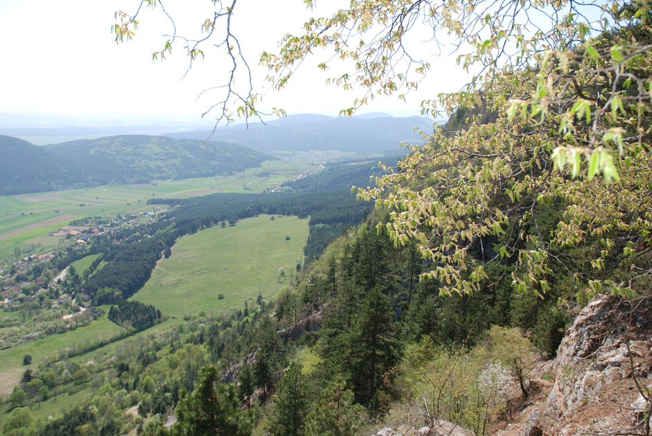 Ausblick