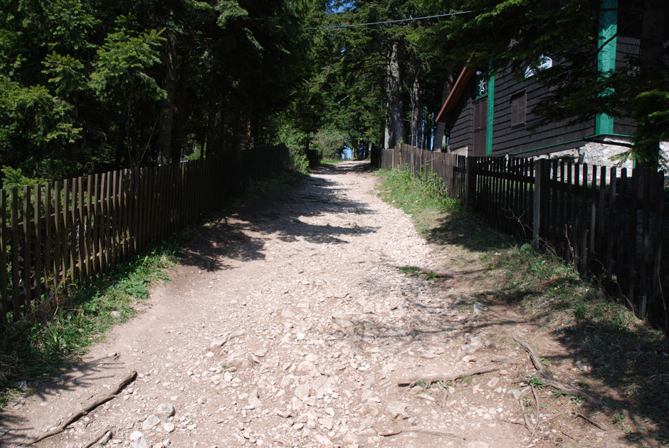 Weg zu Alpengasthaus