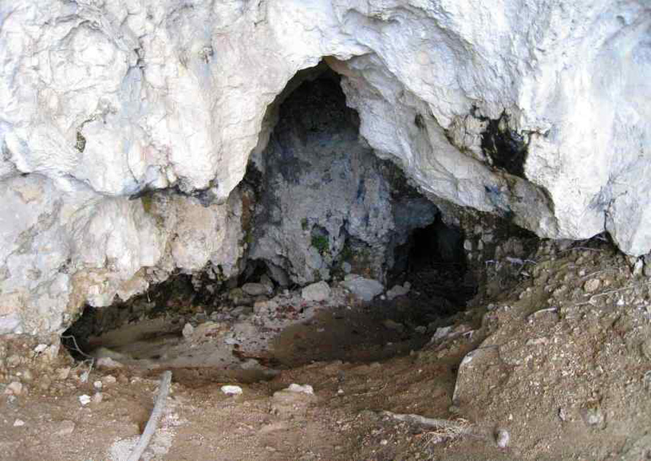 Baumleiterhöhle