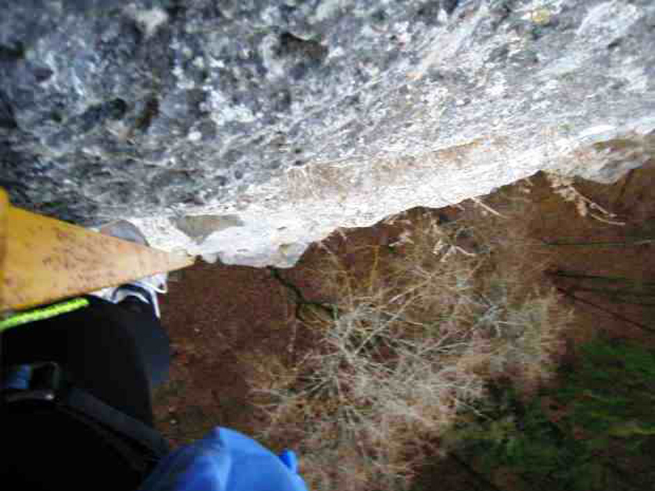 In der Leiter (C) Blick zurück