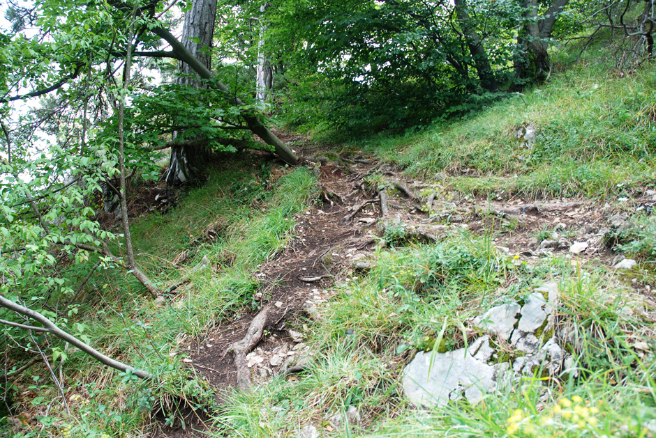 Ausstiegsbereich Gehweg