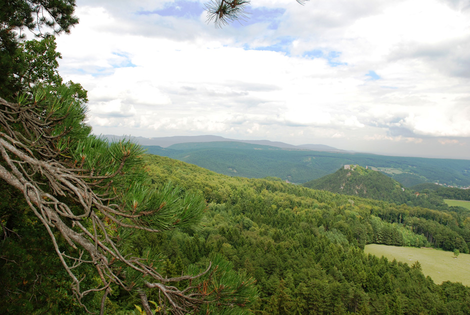 Rundblick bei den Bänken