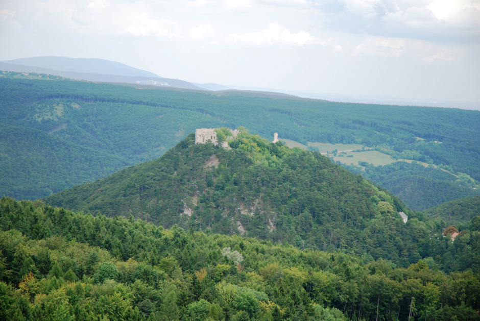 Ruine Starhemberg