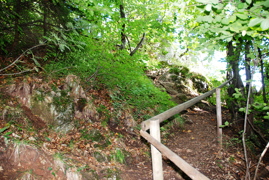 Abstieg zur Einhornhöhle