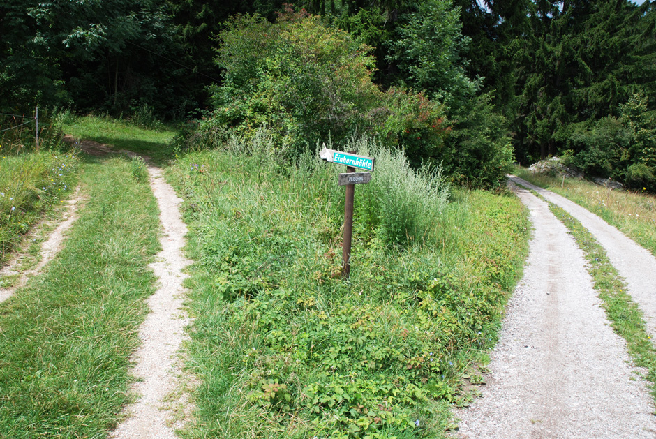 Abzweigung links zum Währingersteig