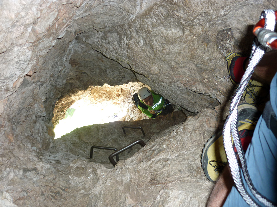 Wildenauerhöhle (C/D)